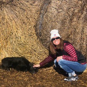 Meet your Posher, Posh